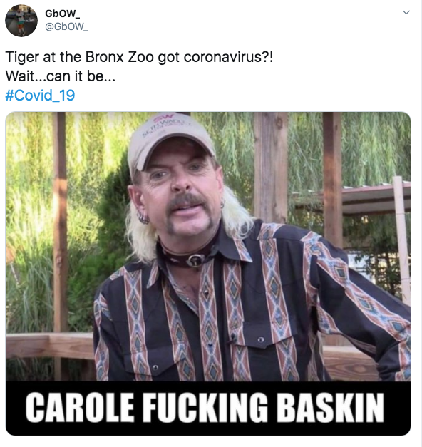 Tiger King Carole Baskin Bronx Zoo meme